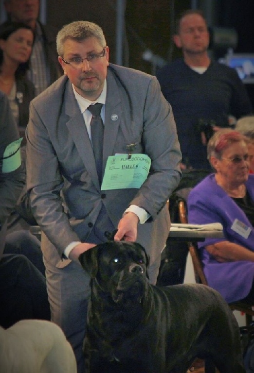 Des Jardins De Vinci - Résultats expo Eurodogshow Kortrijk (Courtrai) Belgique .