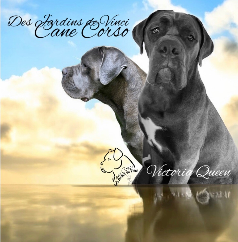 Victoria queen Des Jardins De Vinci