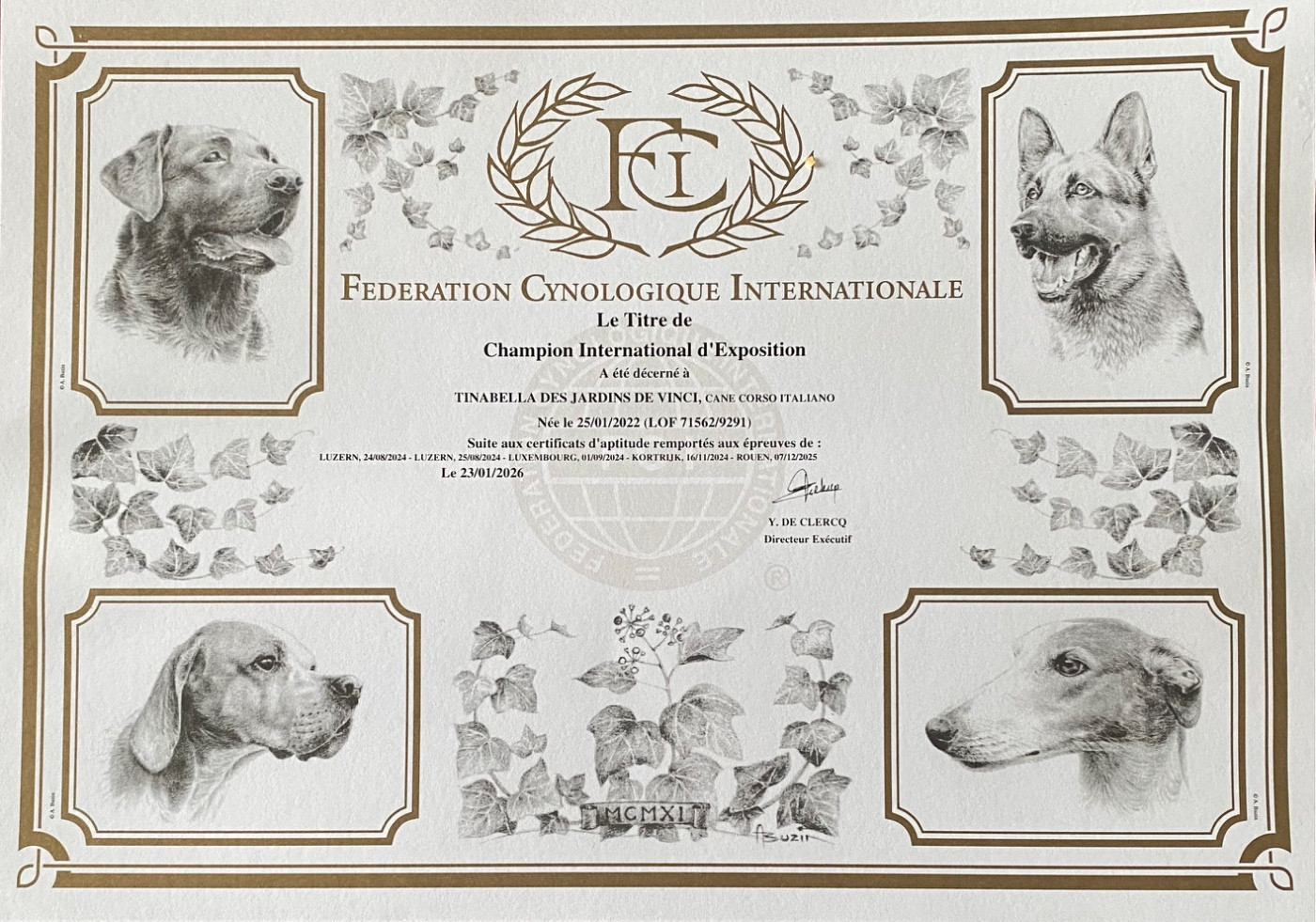 Nouveau titre de Champion international