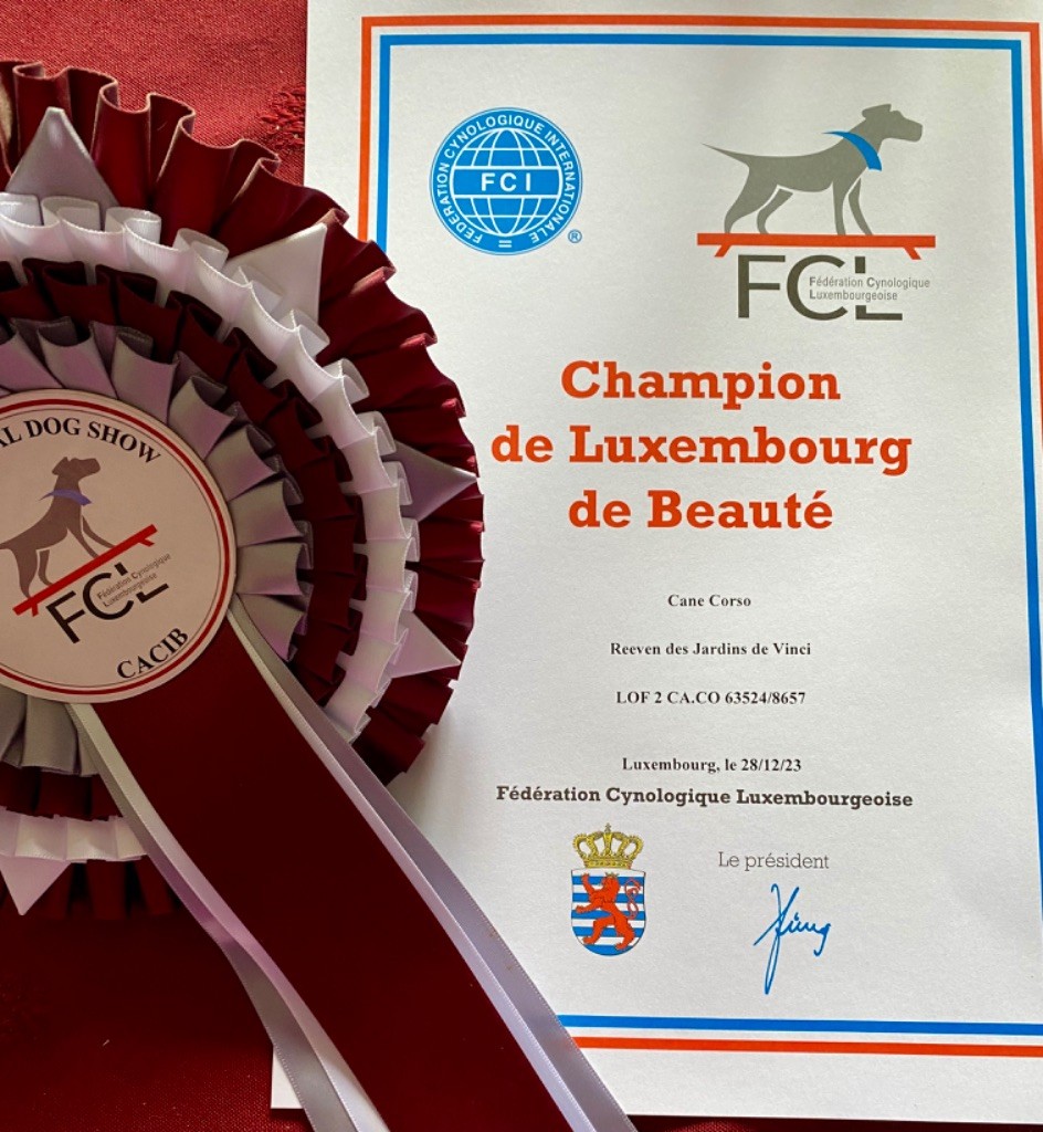 Nouveau titre de Champion du Luxembourg 