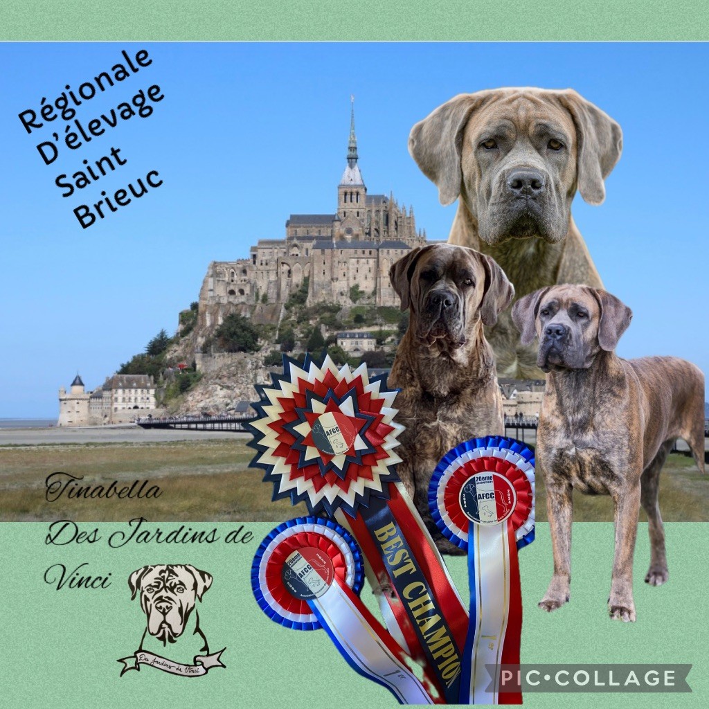 CACS spéciale et RE St Brieuc
