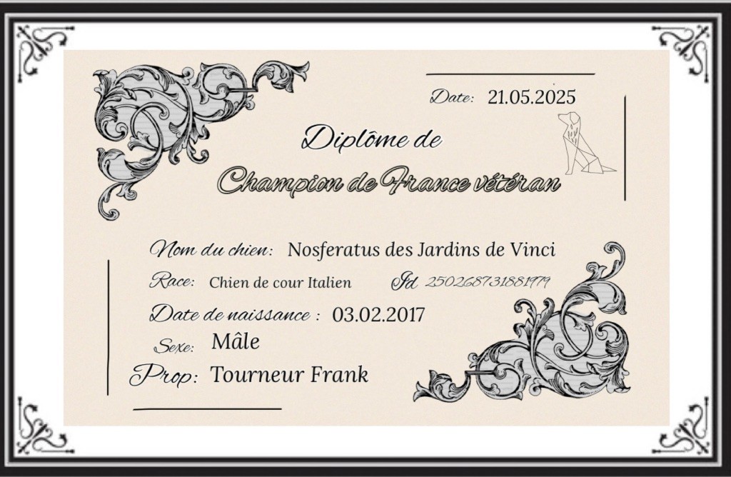 Champion de France Vétéran 