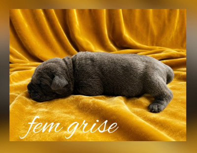 Bianca des Jardins de Vinci